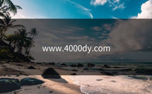 www.4000dy.com