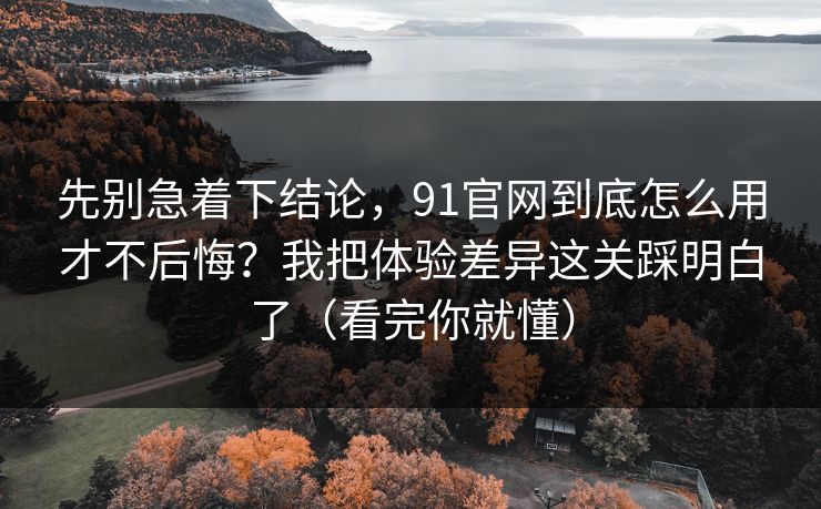 先别急着下结论，91官网到底怎么用才不后悔？我把体验差异这关踩明白了（看完你就懂）