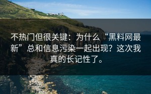 不热门但很关键：为什么“黑料网最新”总和信息污染一起出现？这次我真的长记性了。
