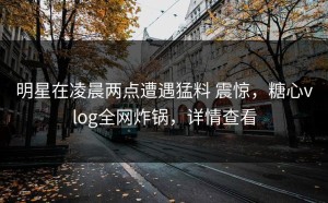 明星在凌晨两点遭遇猛料 震惊，糖心vlog全网炸锅，详情查看