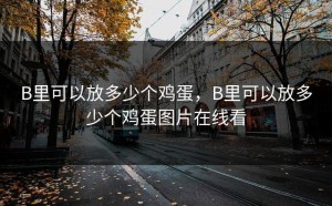 B里可以放多少个鸡蛋，B里可以放多少个鸡蛋图片在线看