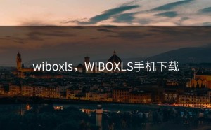 wiboxls，WIBOXLS手机下载